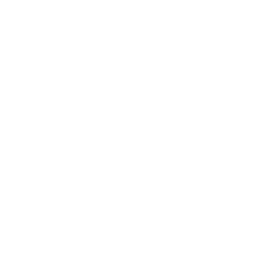 Swingcat